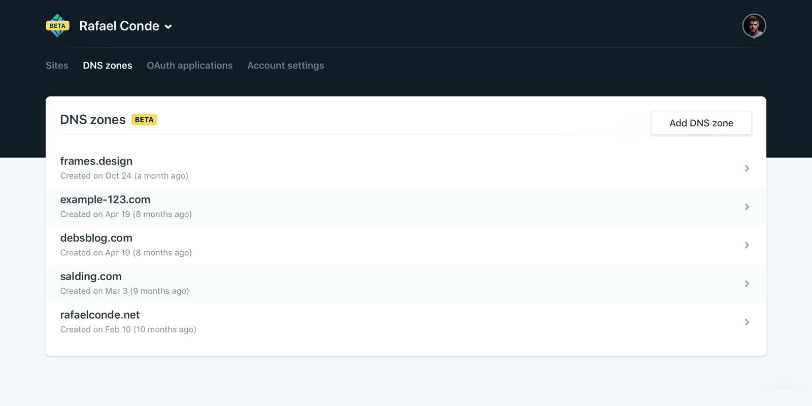 The new DNS Zone Panel