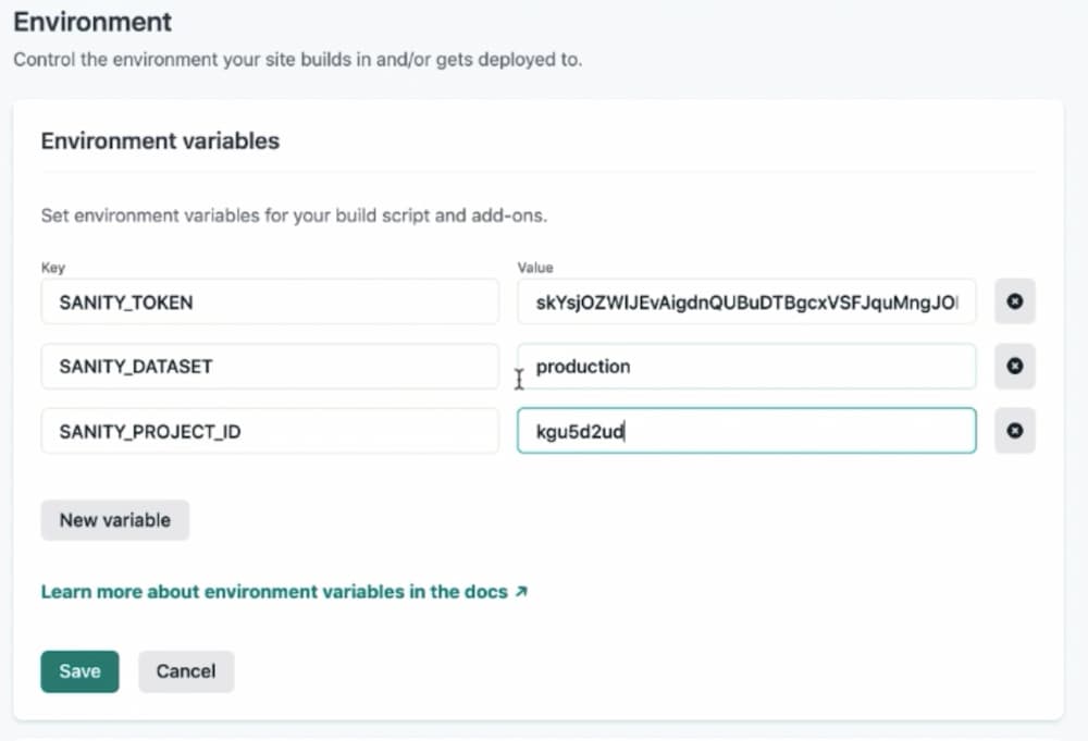 Netlify environment variables entry