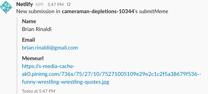Slack notification with submitted form fields, with the meme linked but not shown.