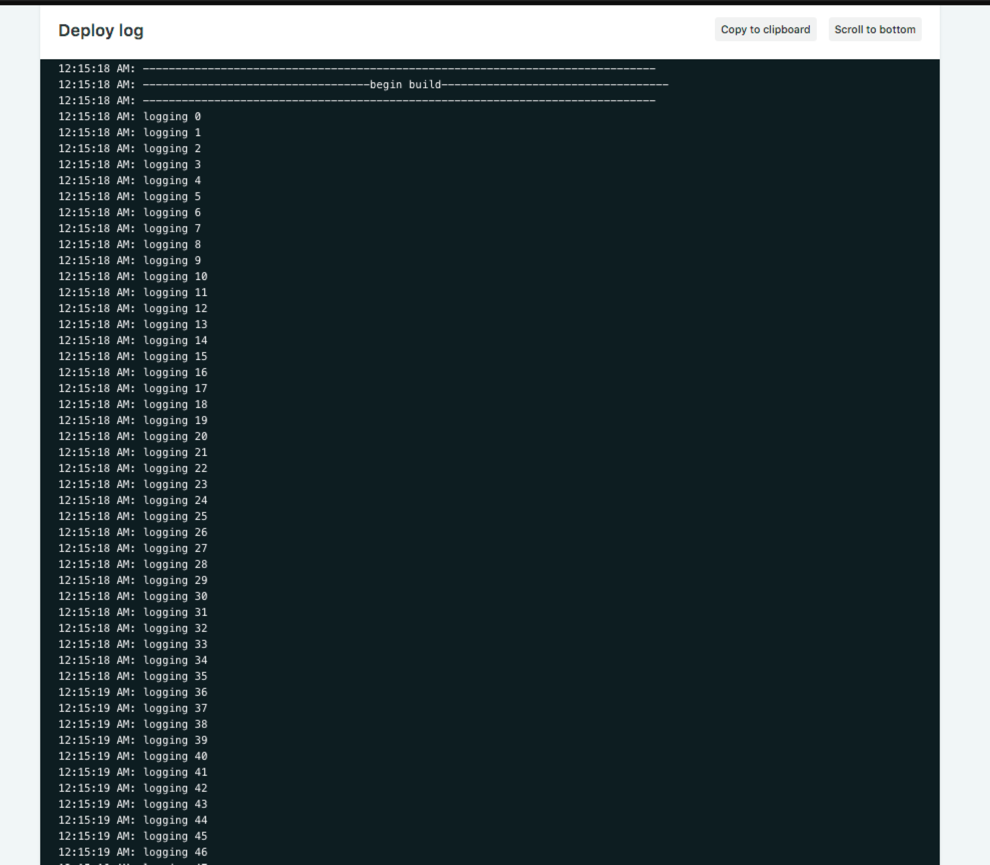 netlify big log